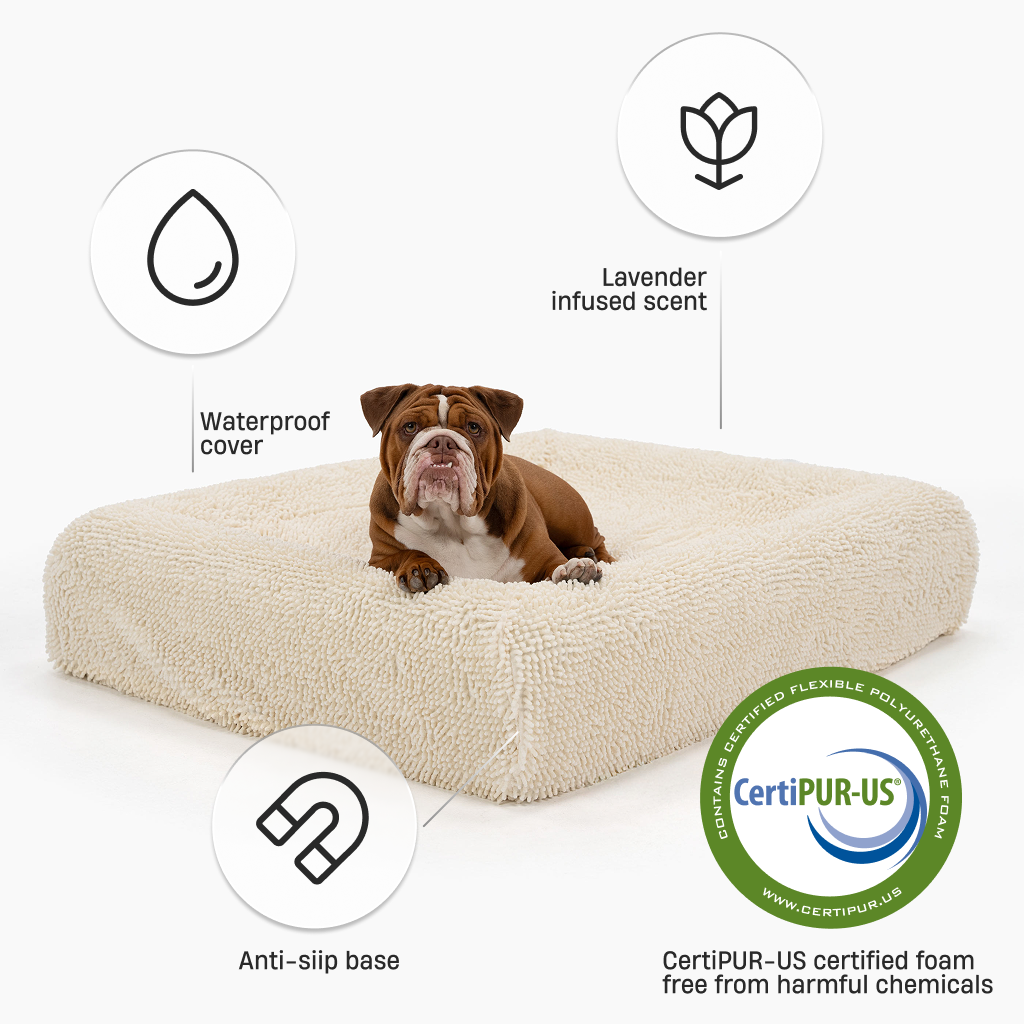 Premium Orthopedic Memory Foam Dog Bed - Cream (Medium)