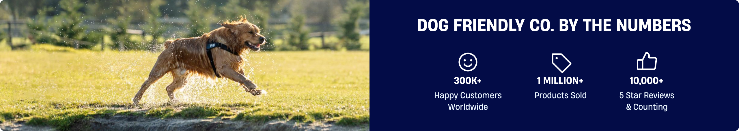 Desktop Banner