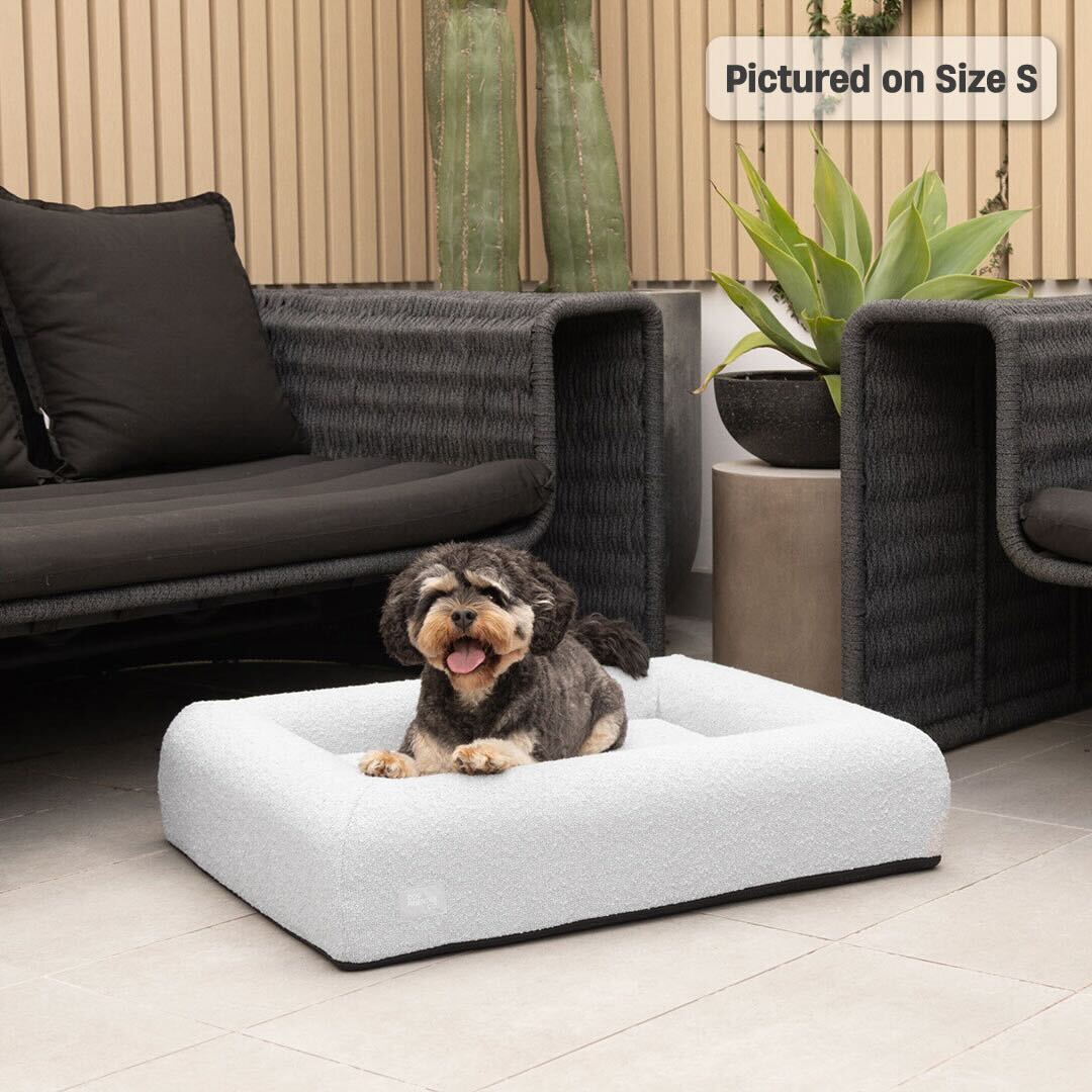 Premium Orthopedic Memory Foam Dog Bed - Grey Bouclé (Small)