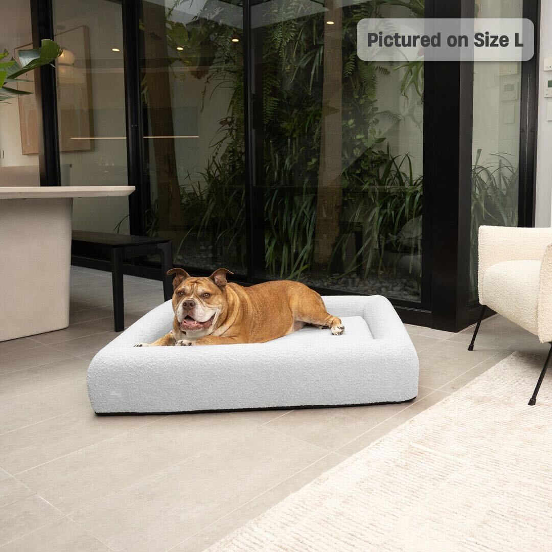 Premium Orthopedic Memory Foam Dog Bed - Grey Bouclé (Small)