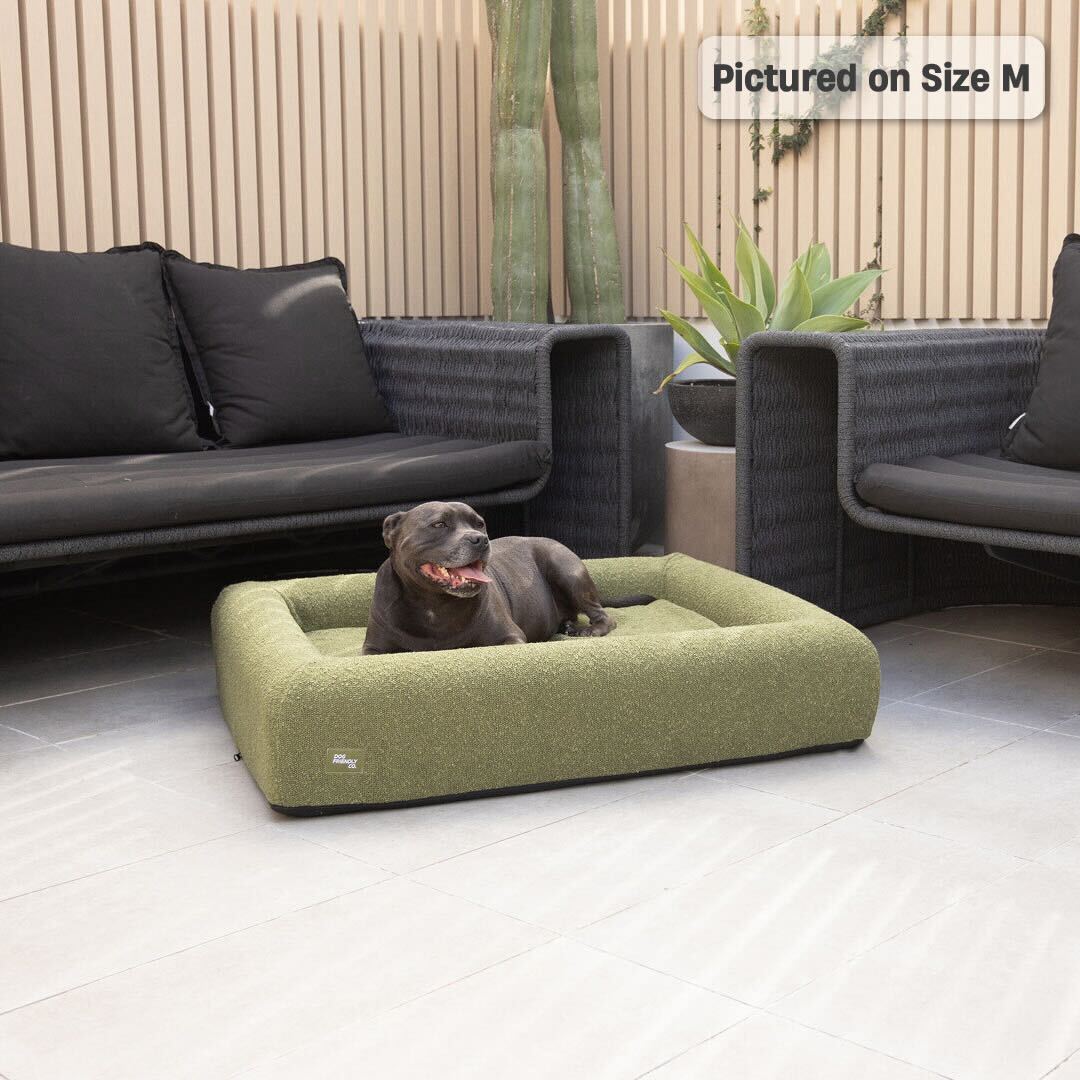 Premium Orthopedic Memory Foam Dog Bed - Green Bouclé (Large)