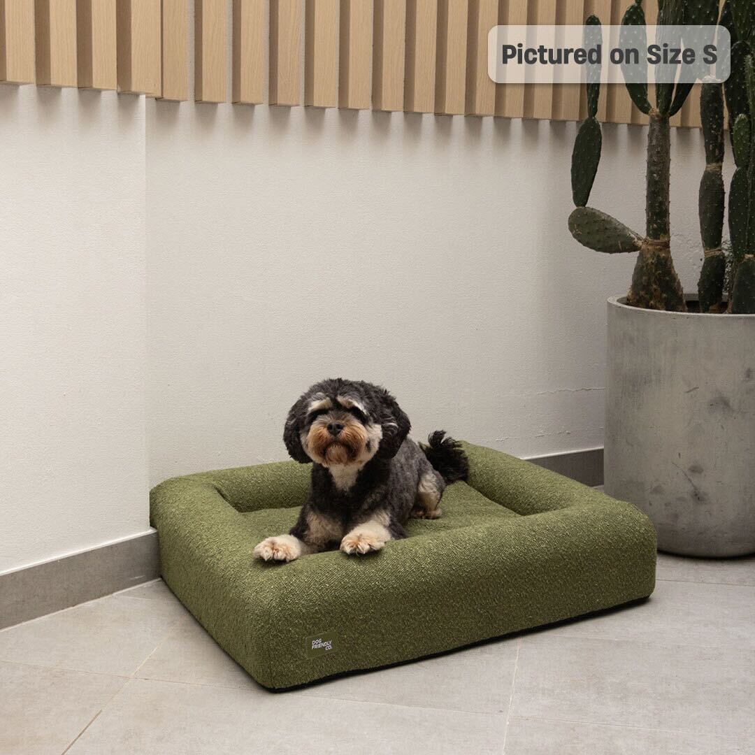 Premium Orthopedic Memory Foam Dog Bed - Green Bouclé (Large)