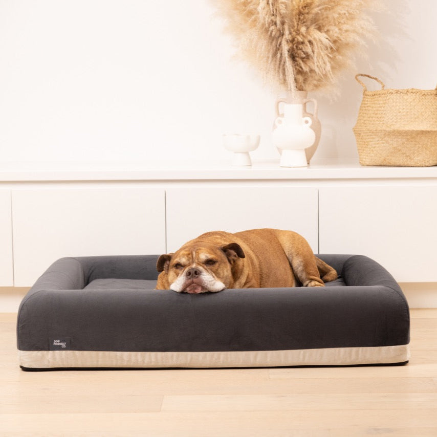 Premium Orthopedic Memory Foam Dog Bed - Charcoal (Large)