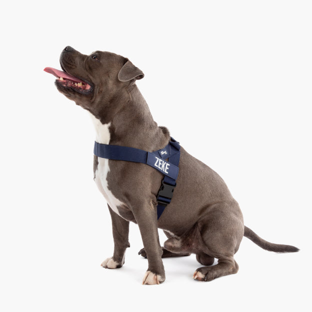 Dog Harness - Navy Blue