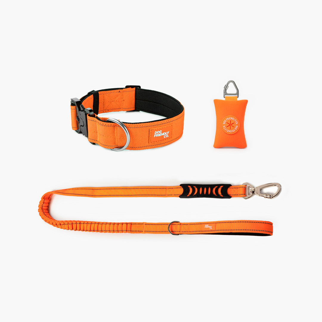 Collar Walk Set - Hi-Vis Orange