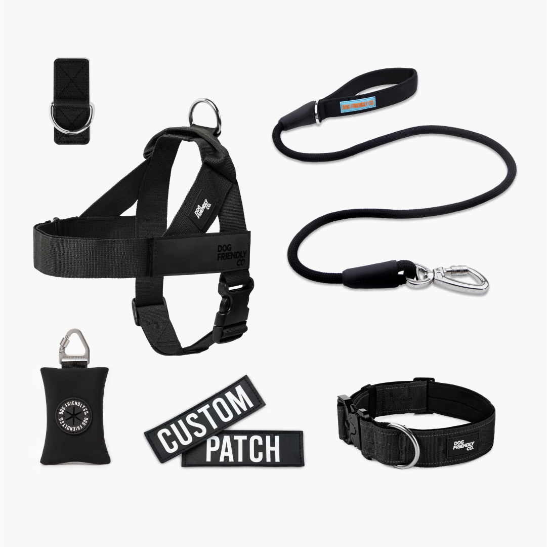 Walk Essentials - Black