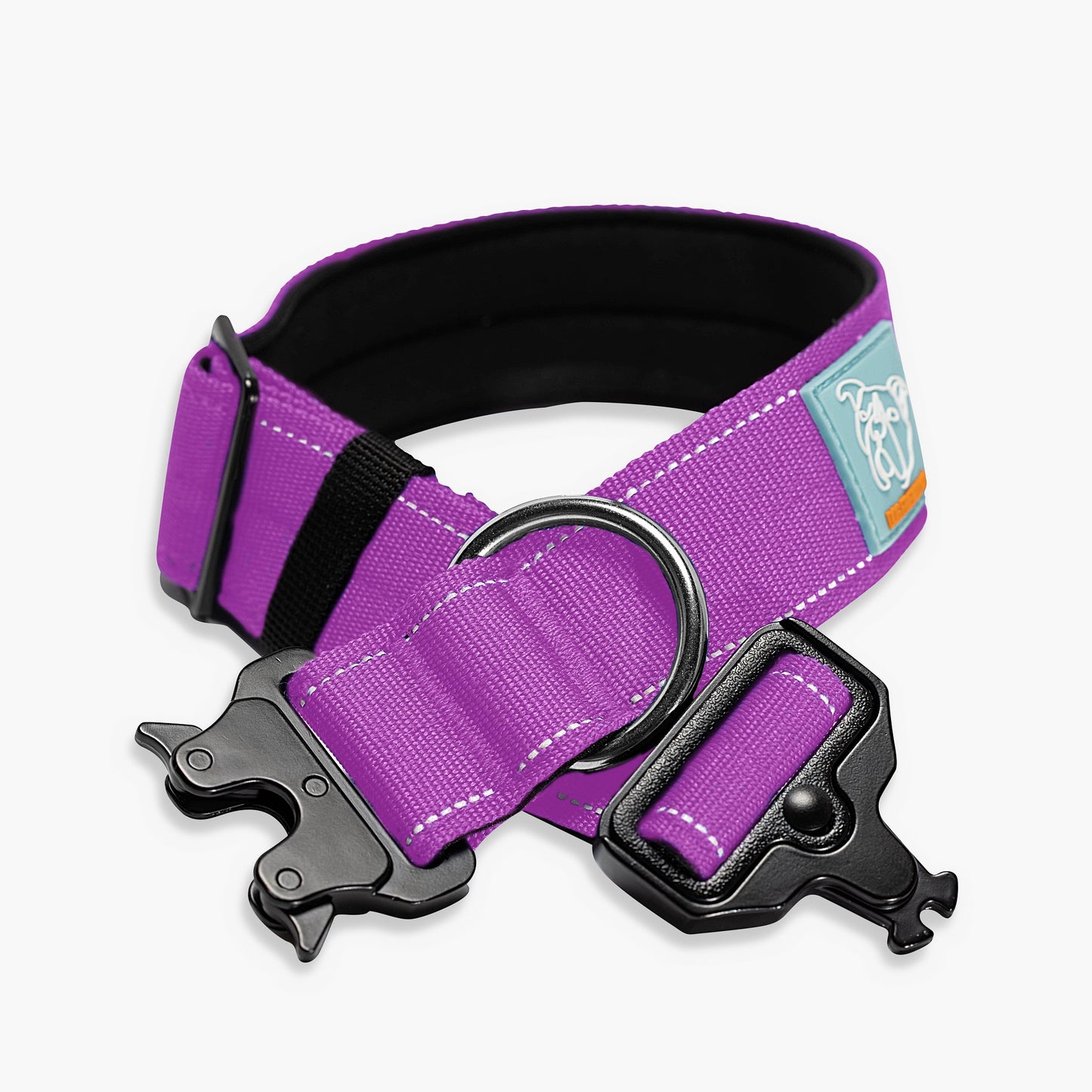 Collar Walk Set - Purple