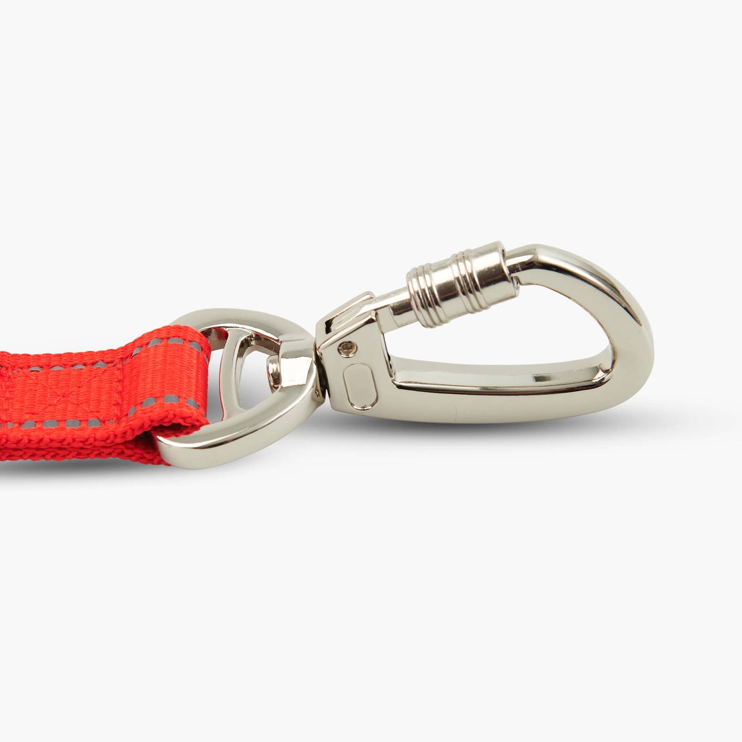 Short Trainer Dog Leash