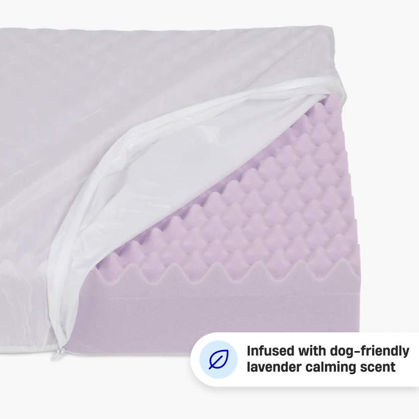 Premium Orthopedic Memory Foam Dog Bed - Pink (Large)