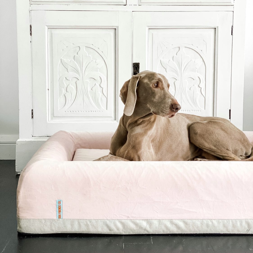 Premium Orthopedic Memory Foam Dog Bed - Pink (Large)