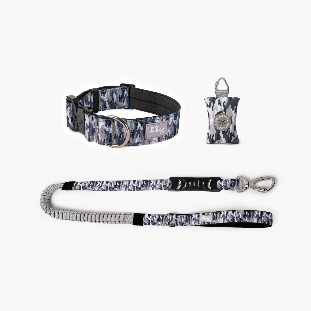 Collar Walk Set