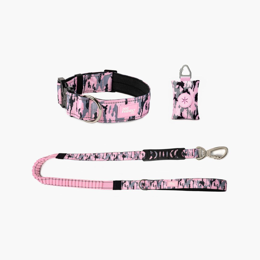 Collar Walk Set - Pink Camo