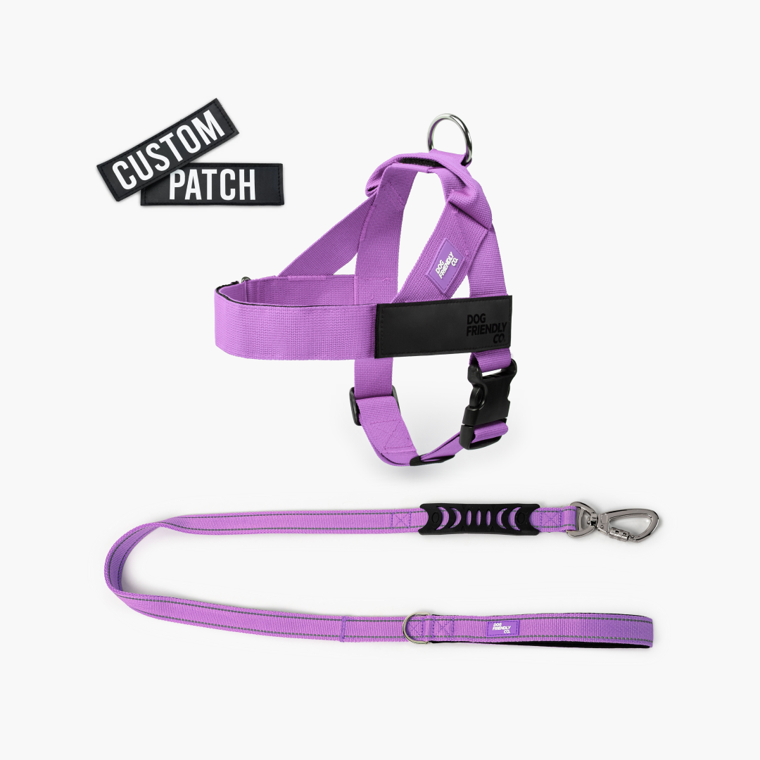 Signature Kit - Purple