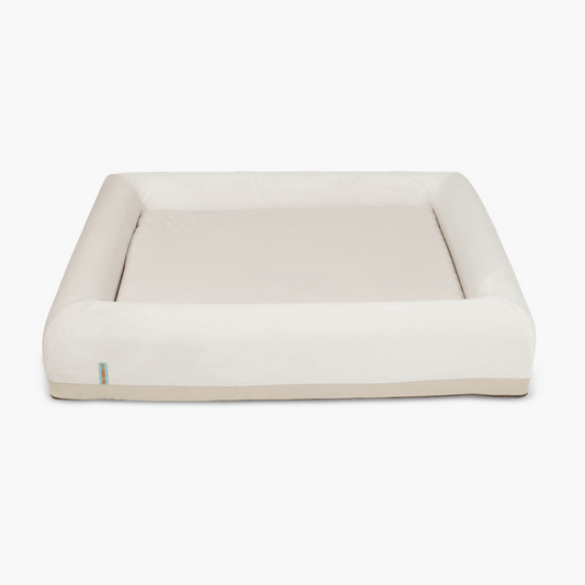 Orthopedic Memory Foam Dog Bed - Beige (Large)