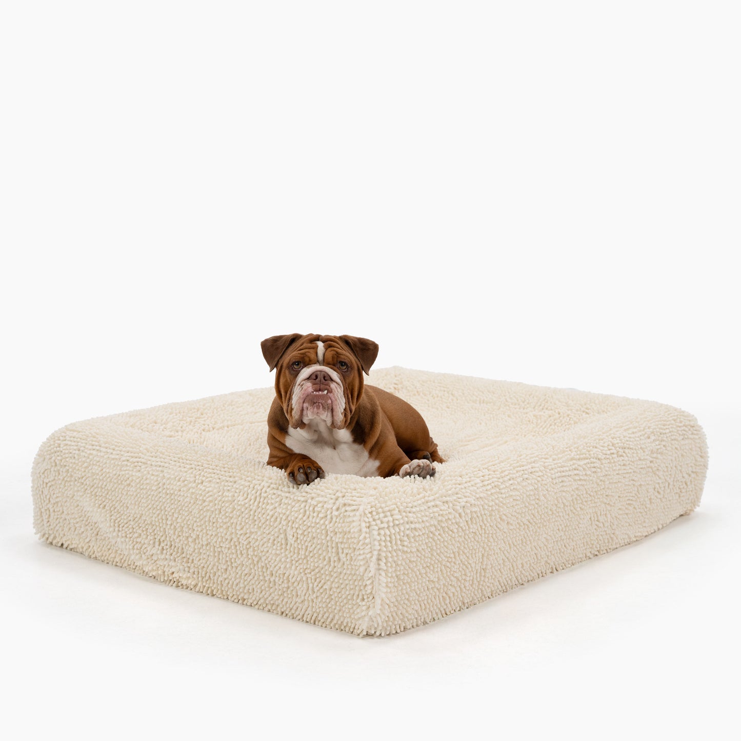 Orthopedic Memory Foam Dog Bed - Cream (Medium)