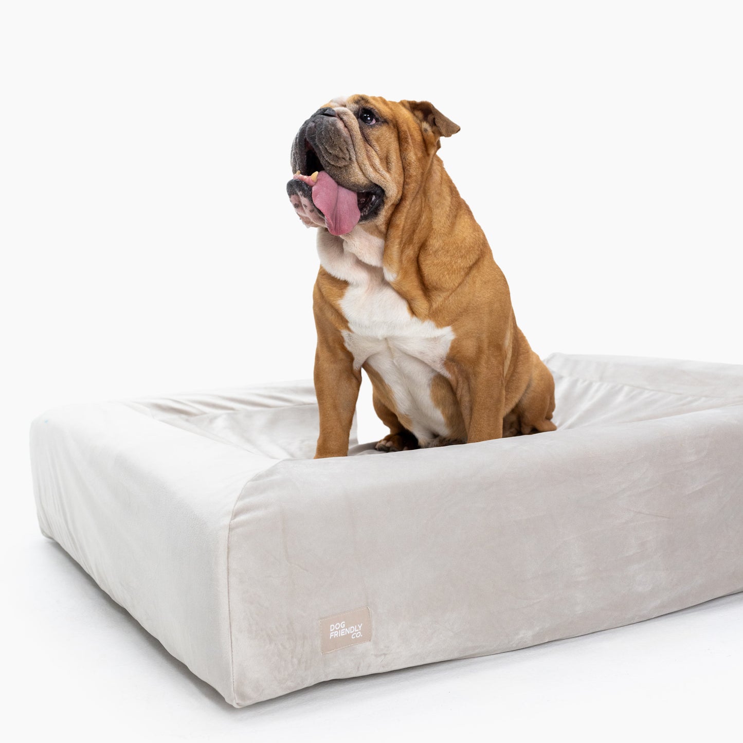 Velvet Easy Fit Dog Bed Cover