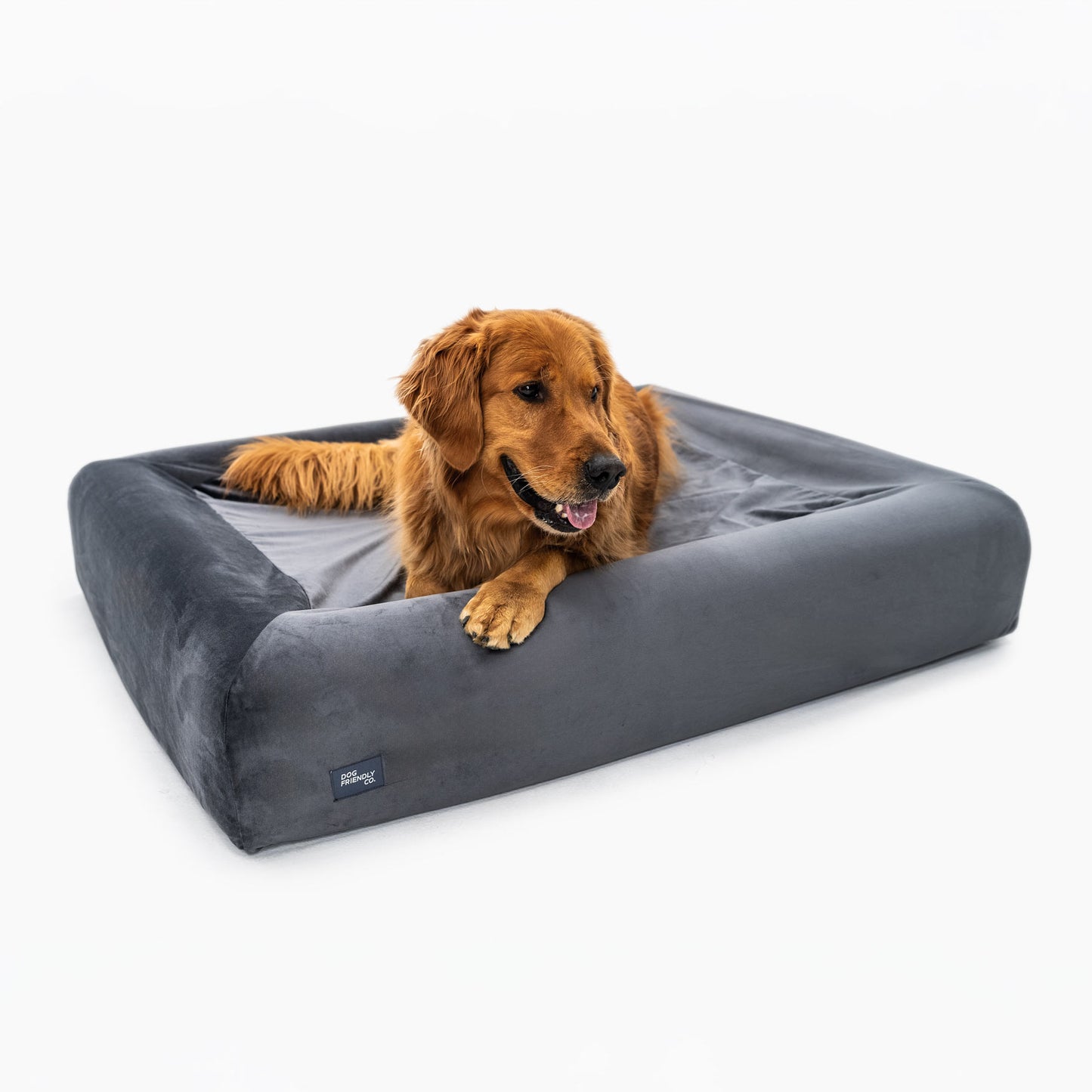 Orthopedic Memory Foam Dog Bed - Charcoal (Large)