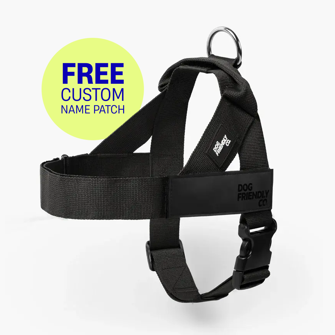 Dog Harness