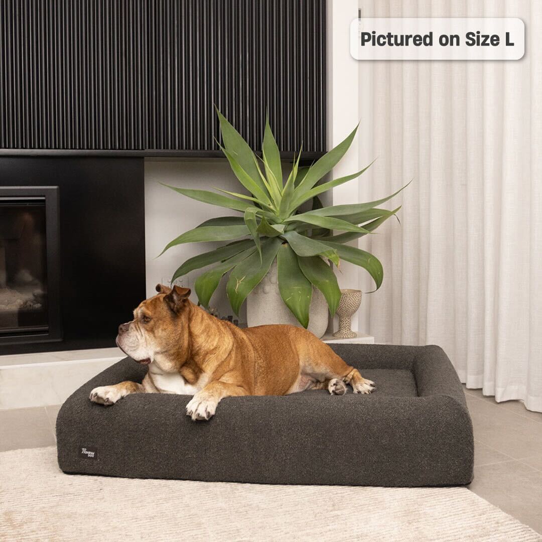 Premium Orthopedic Memory Foam Dog Bed - Brown Bouclé (Large)