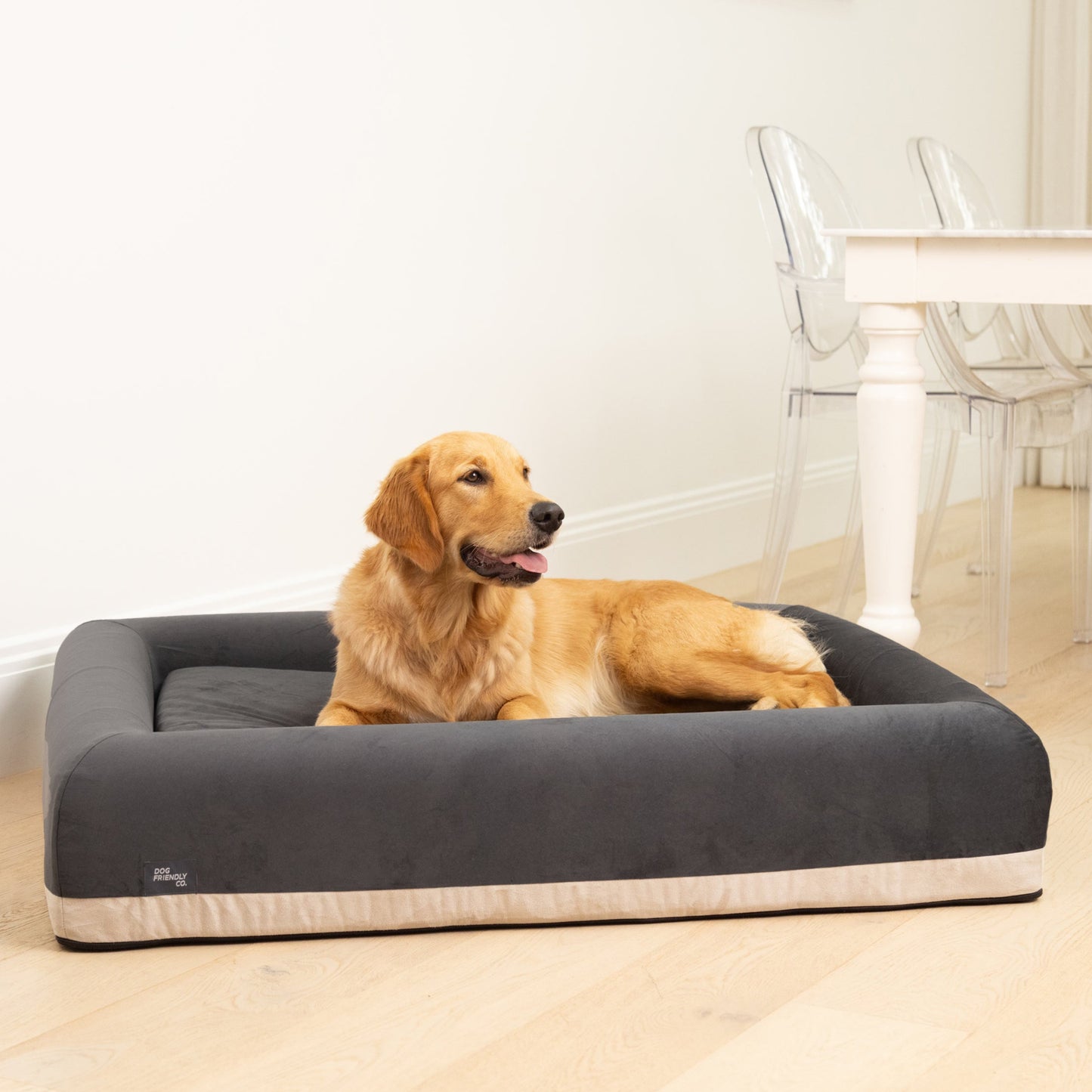 Premium Orthopedic Memory Foam Dog Bed - Charcoal (Small)