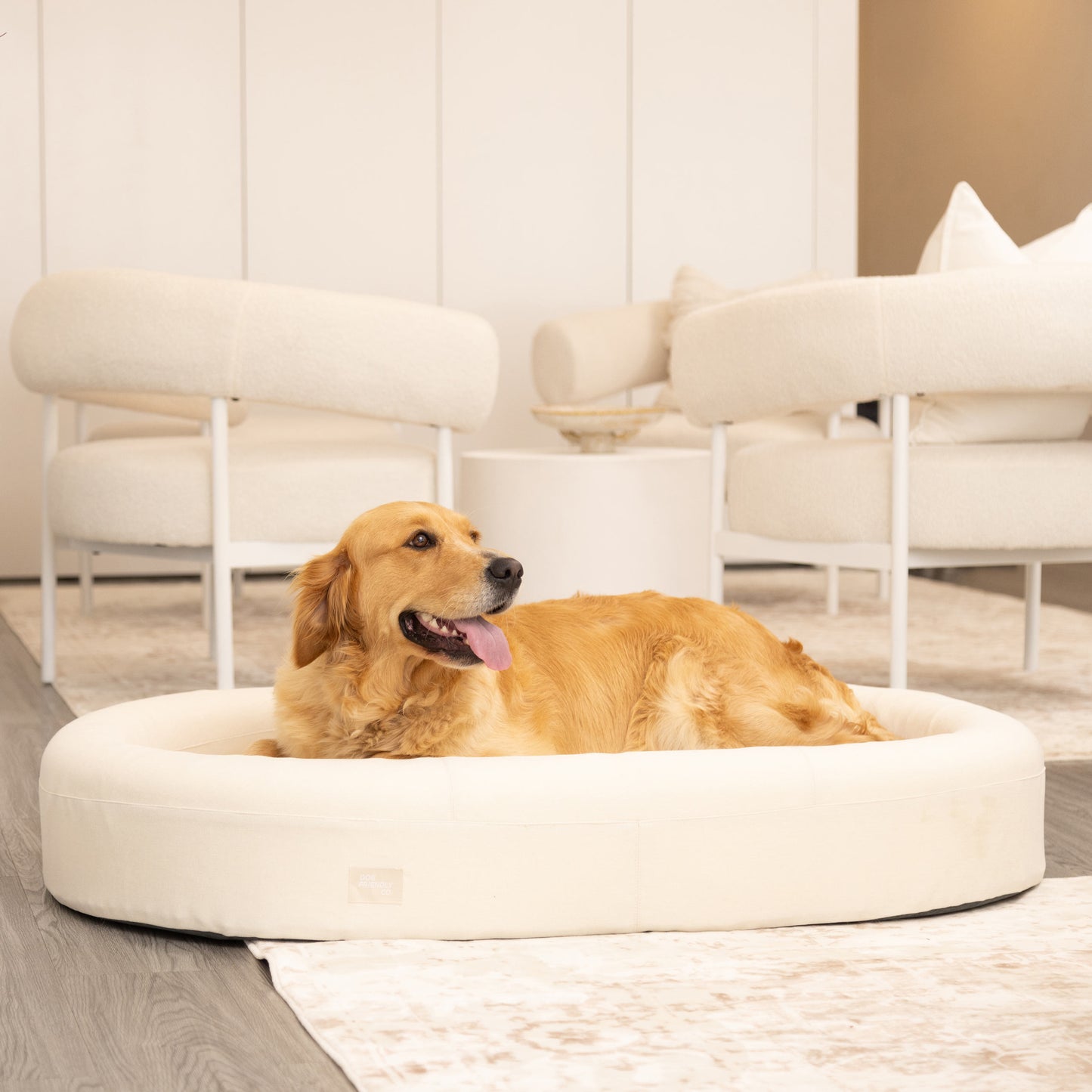 Chill Pill Memory Foam Dog Bed - Beige (Medium)