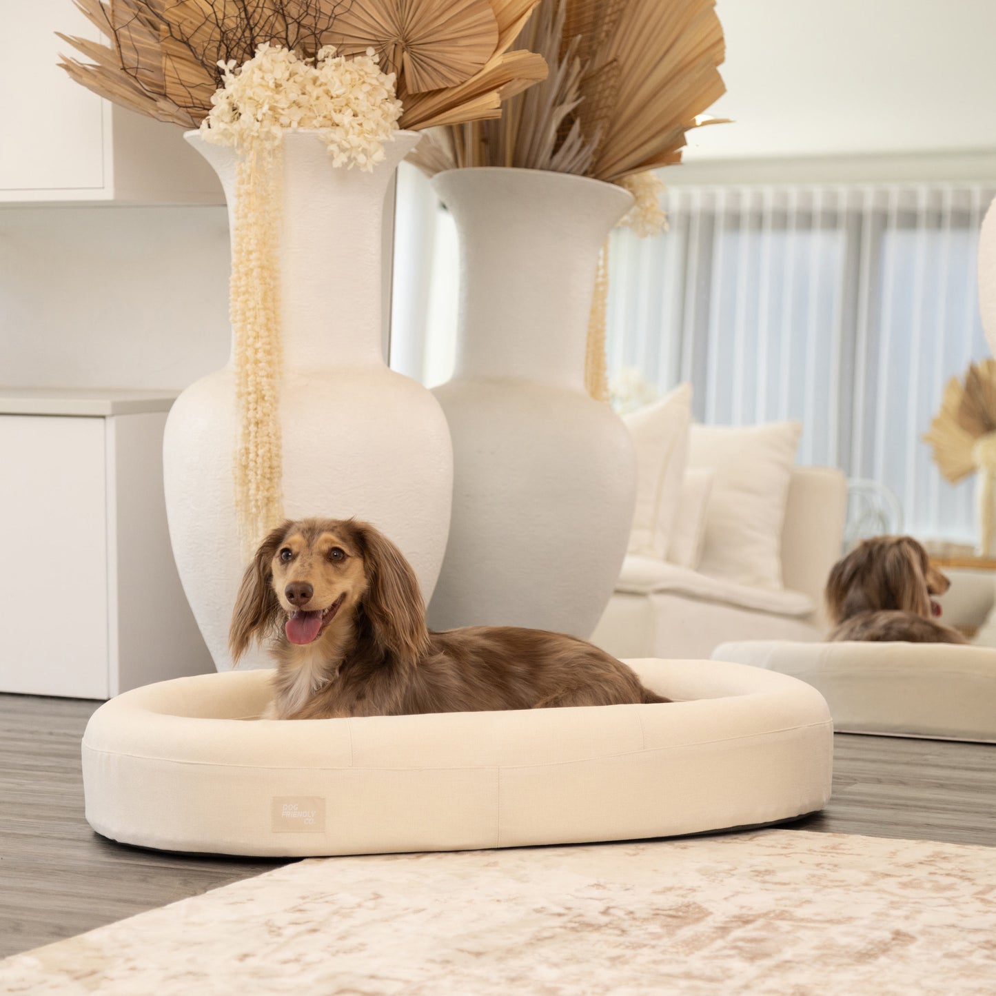 Chill Pill Memory Foam Dog Bed - Beige (Medium)