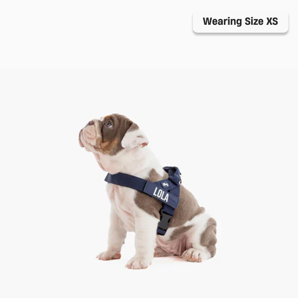 Dog Harness - Navy Blue
