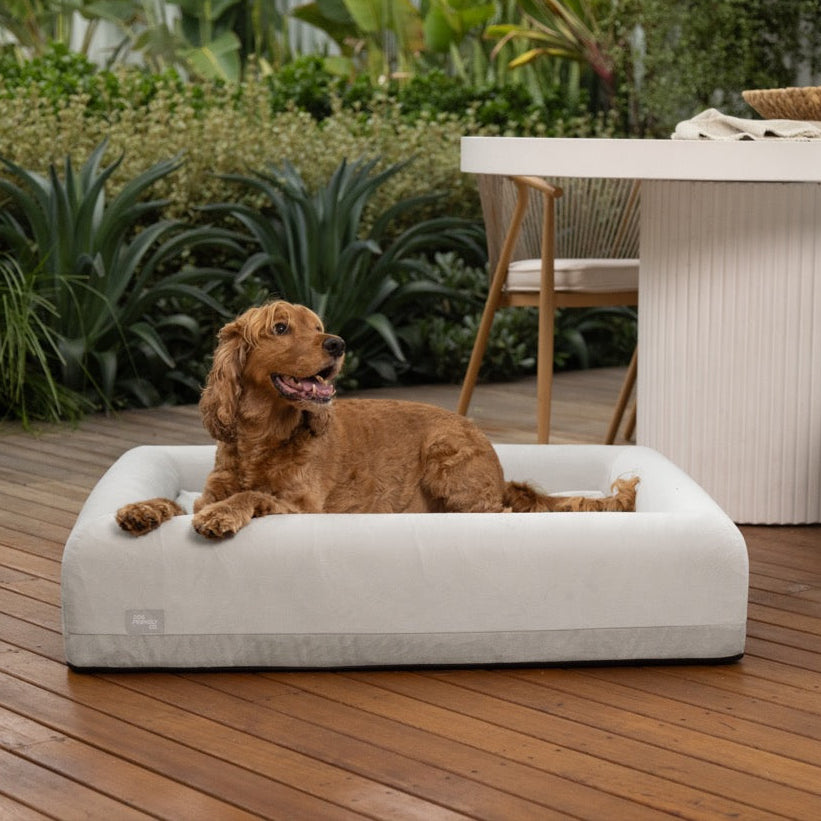 Premium Orthopedic Memory Foam Dog Bed - Grey (Small)
