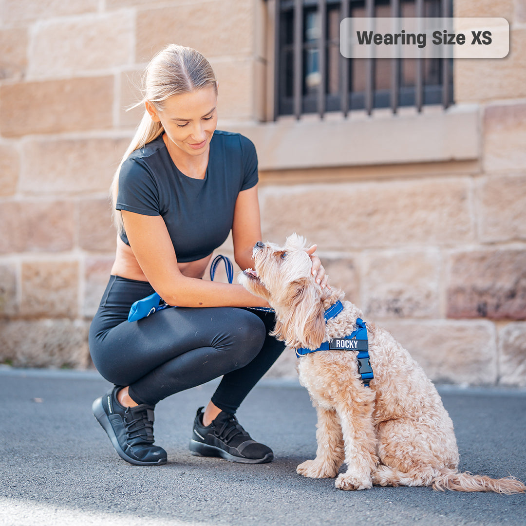 Walk Essentials - Classic Blue
