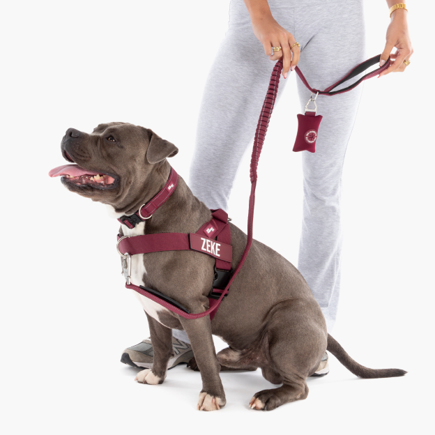 Walk Essentials - Burgundy