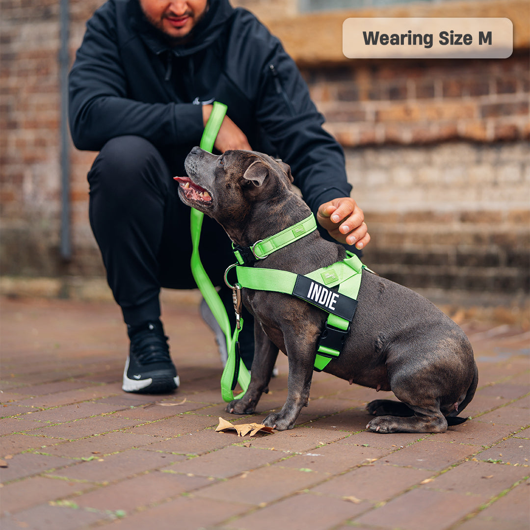 Walk Essentials - Neon Green