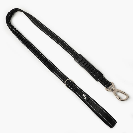 Bungee Dog Leash