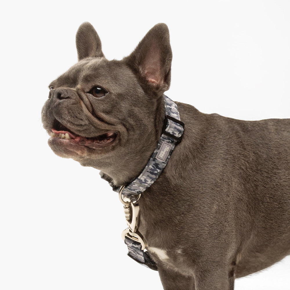 Tactical Dog Collar - Grey Camo