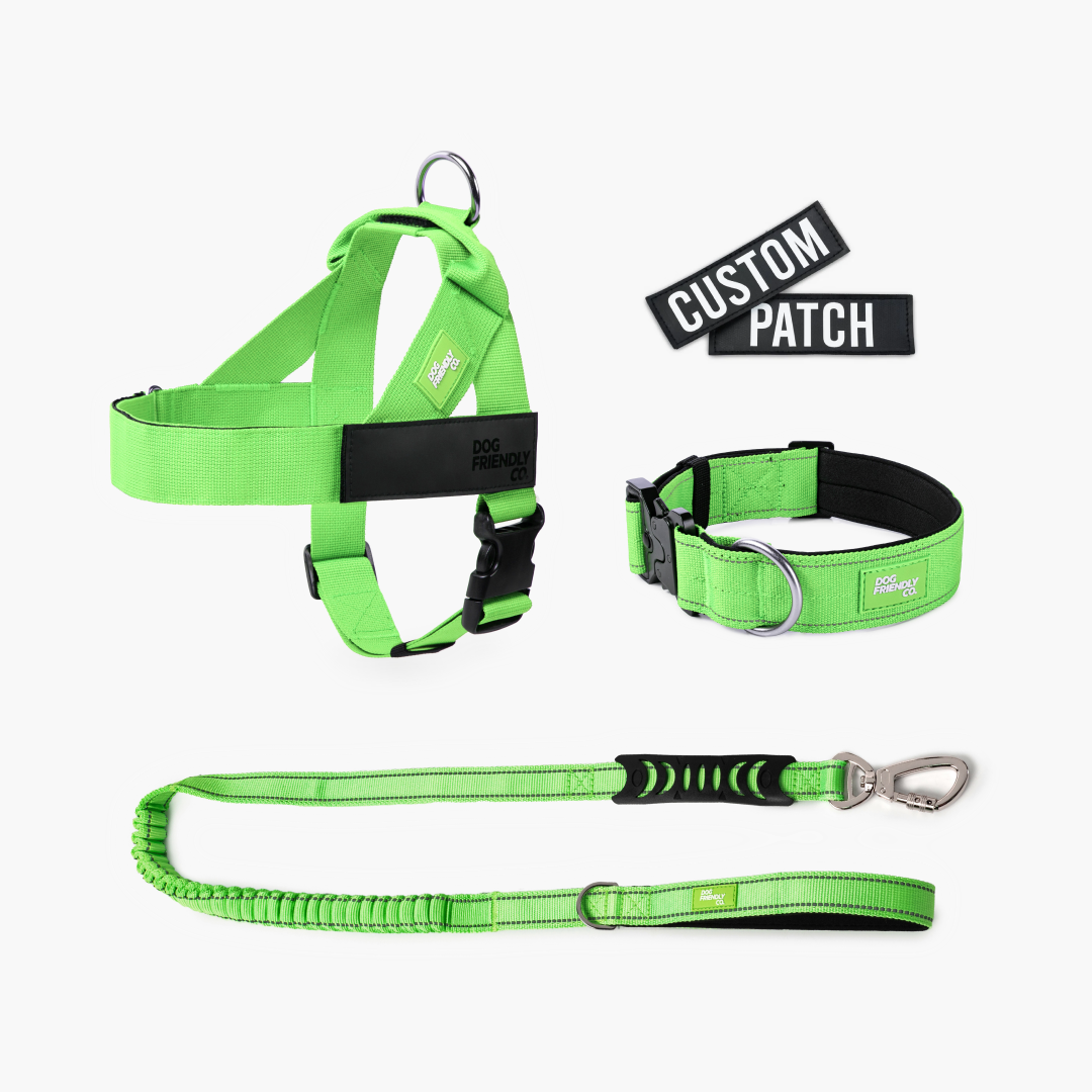 Dog Lovers Pack - Neon Green