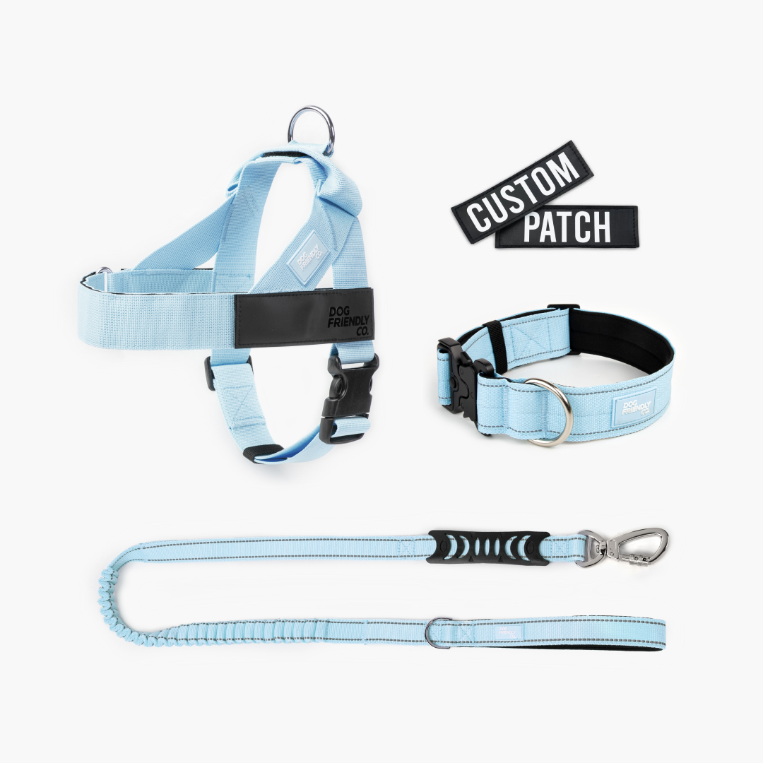 Dog Lovers Pack - Sky Blue