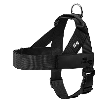 Walk Essentials sample