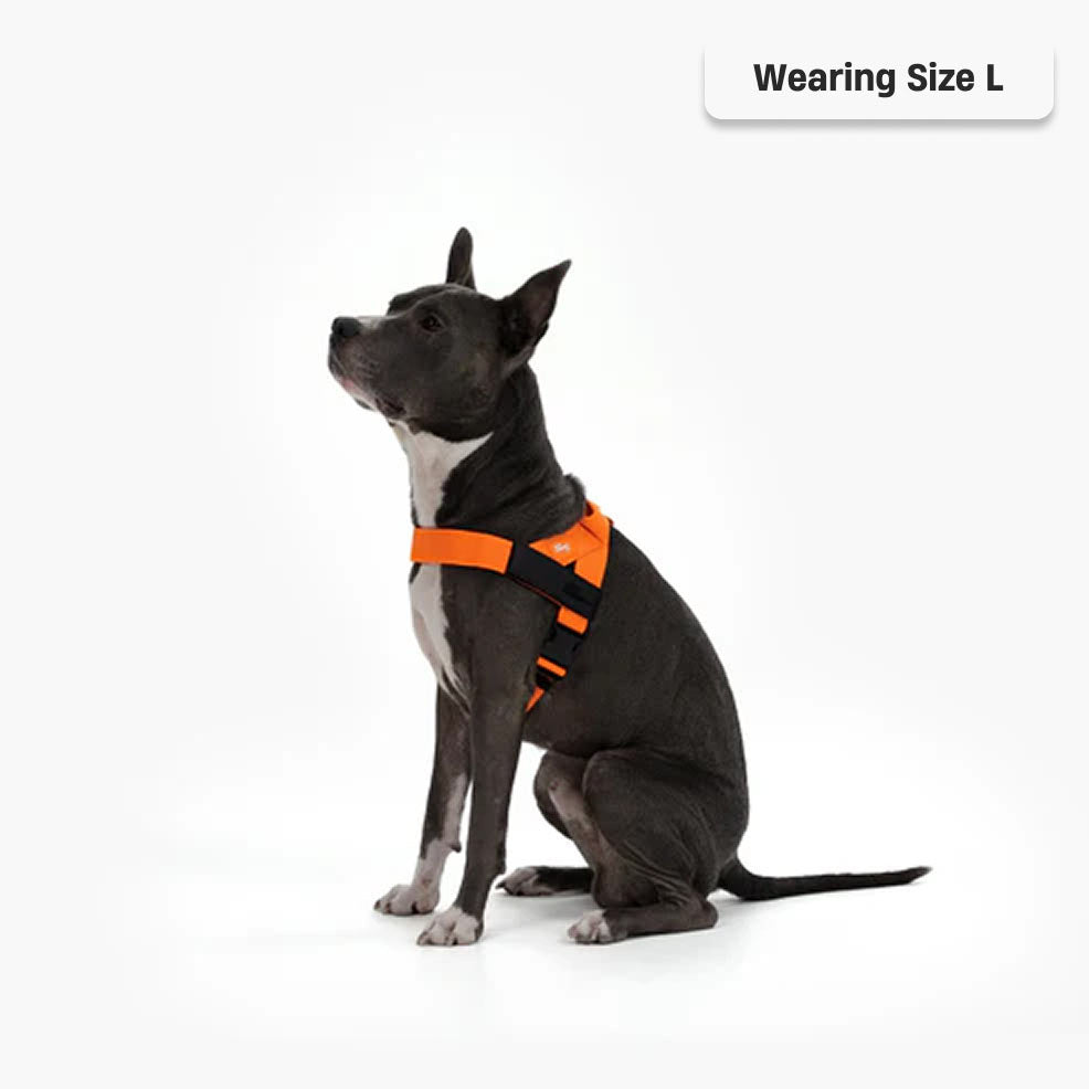 Dog Harness - Orange