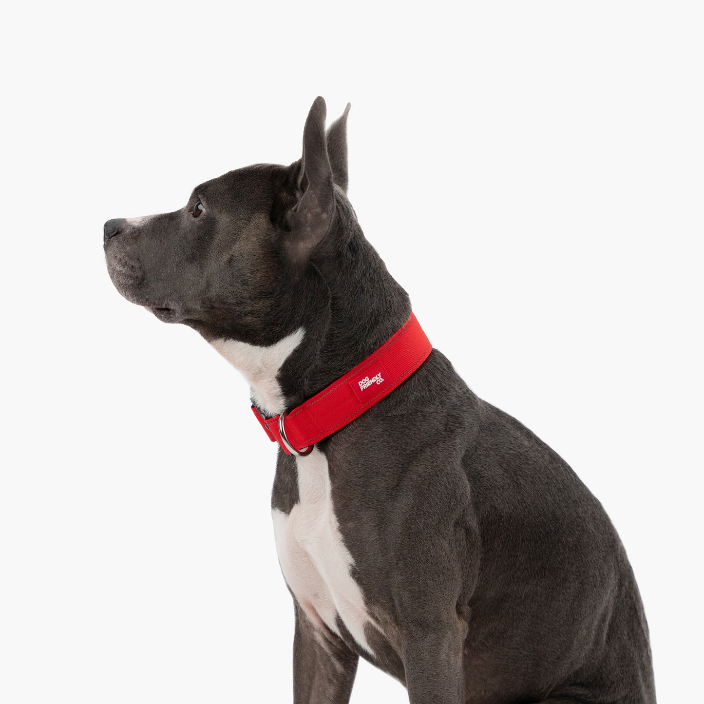 Tactical Dog Collar - Red