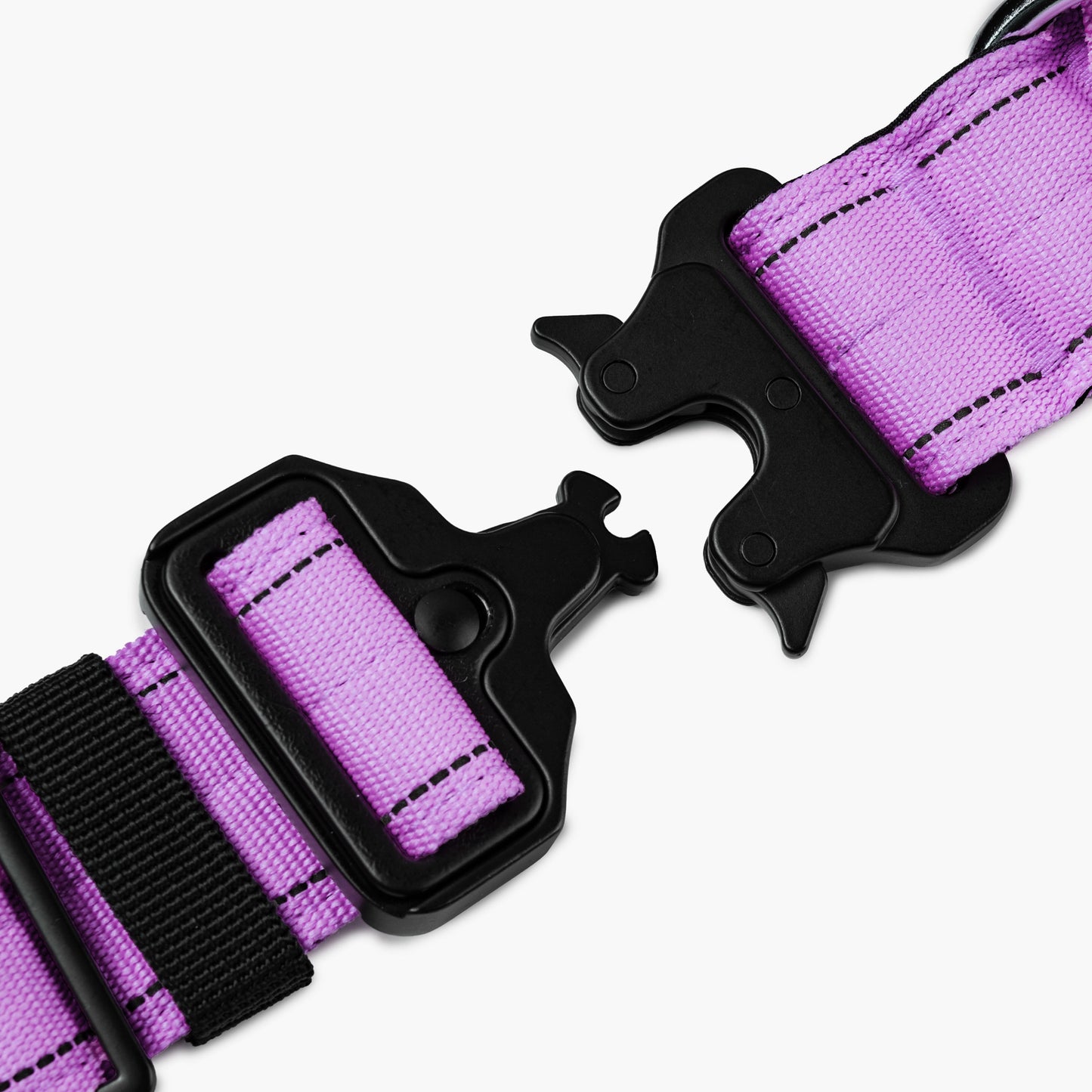 Collar Walk Set - Purple