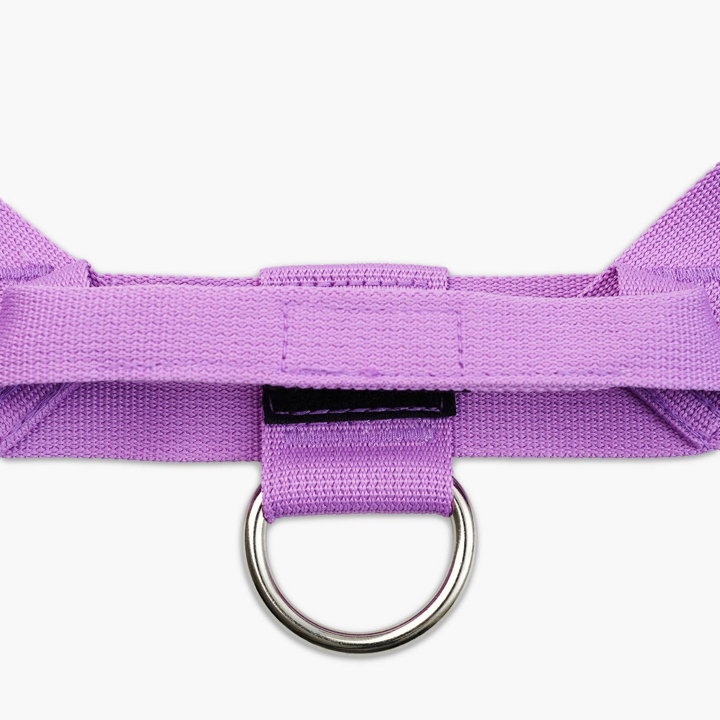 Dog Harness