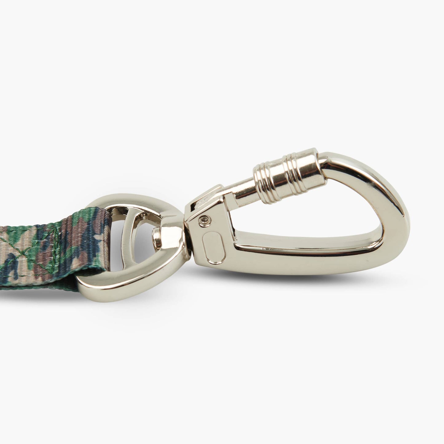 Bungee Dog Leash