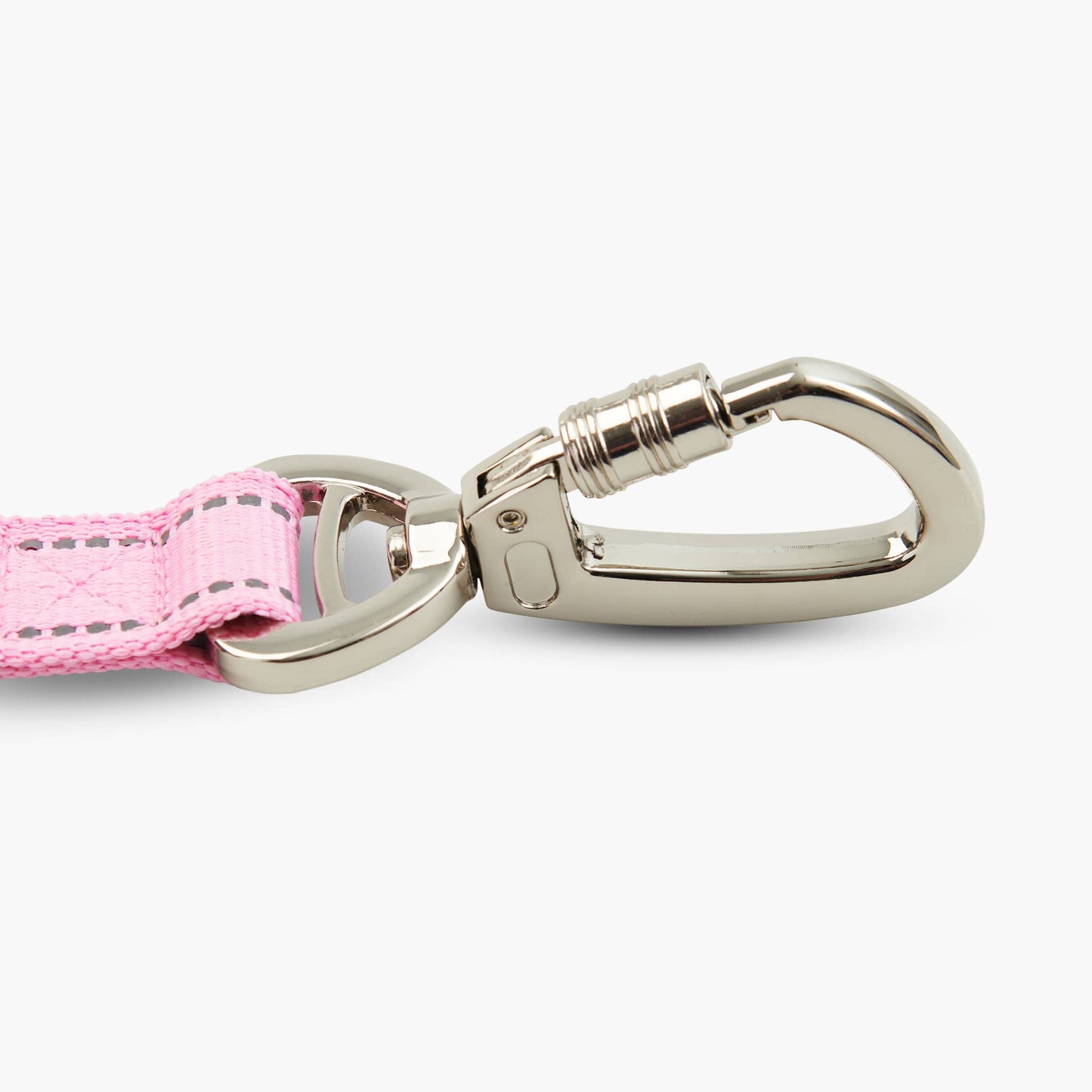 Bungee Dog Leash