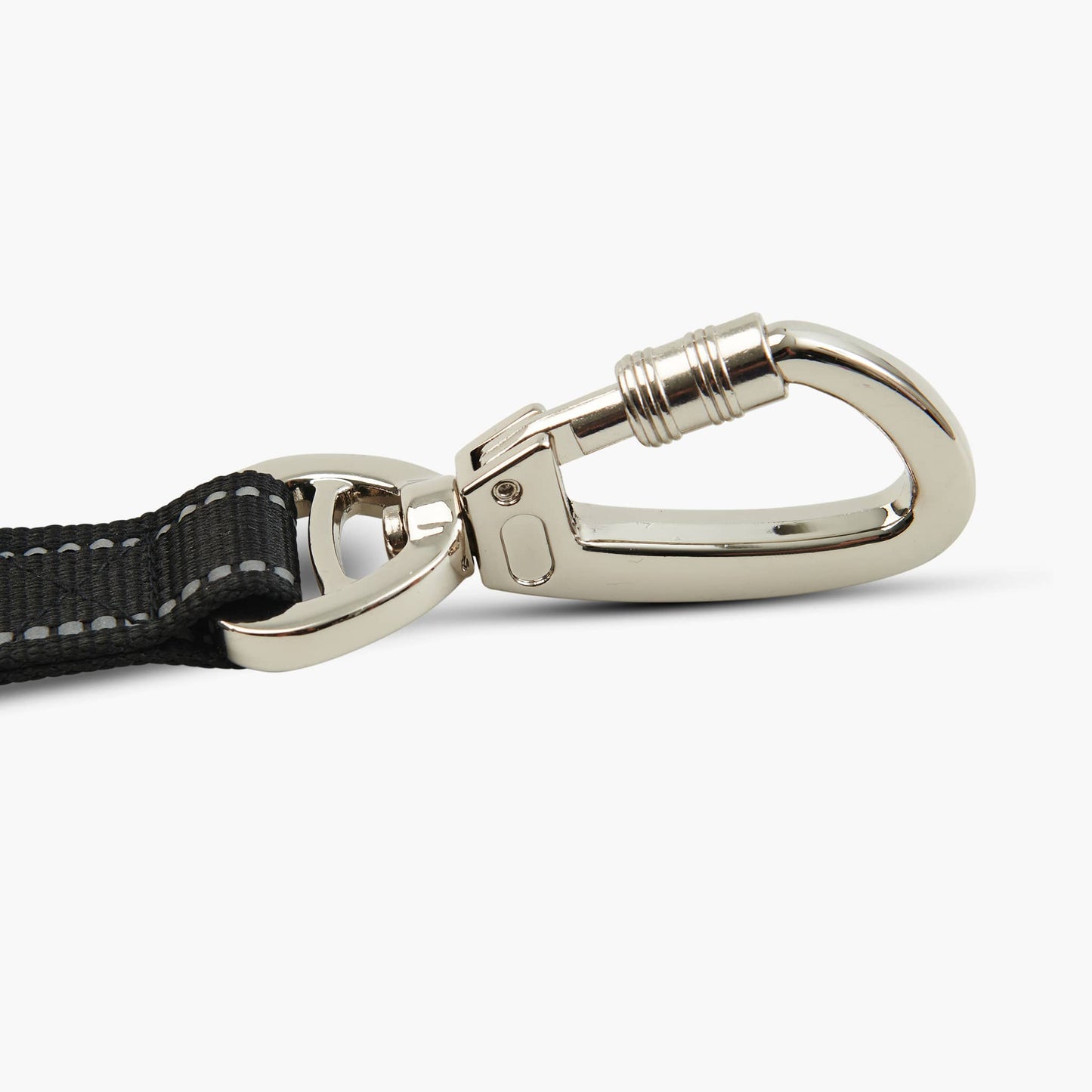 Bungee Dog Leash