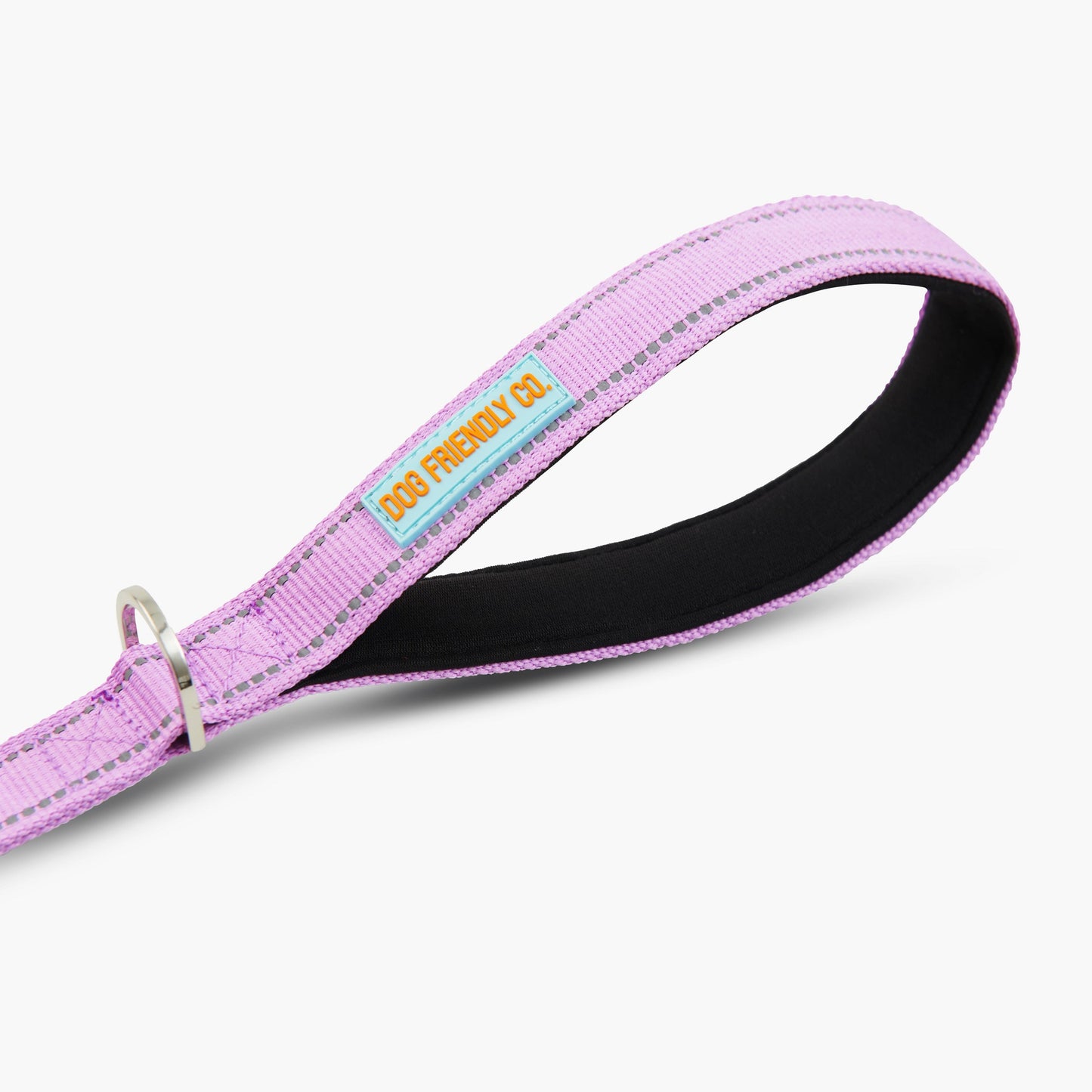 Bungee Dog Leash