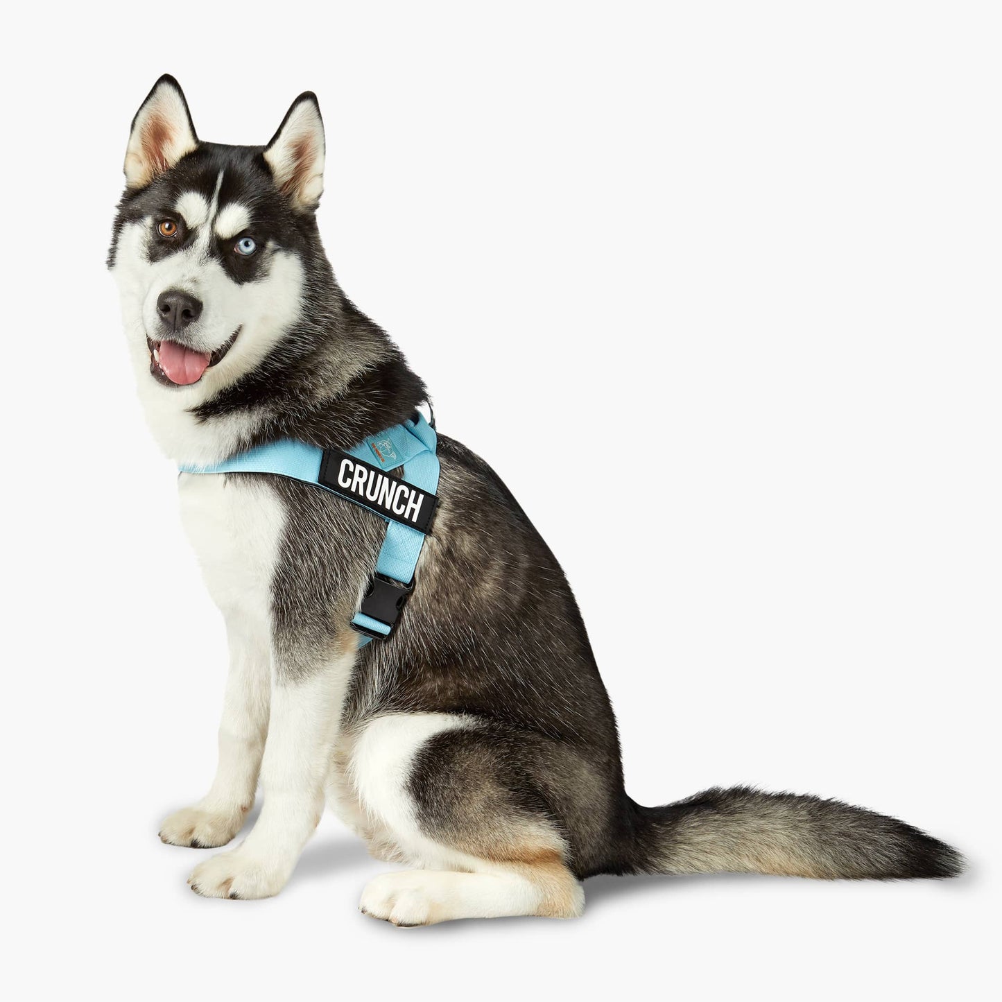 Dog Harness