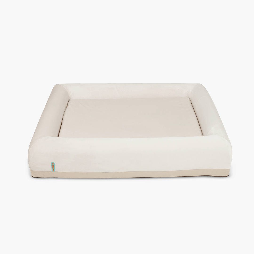 Orthopedic Memory Foam Dog Bed - Beige (Small)