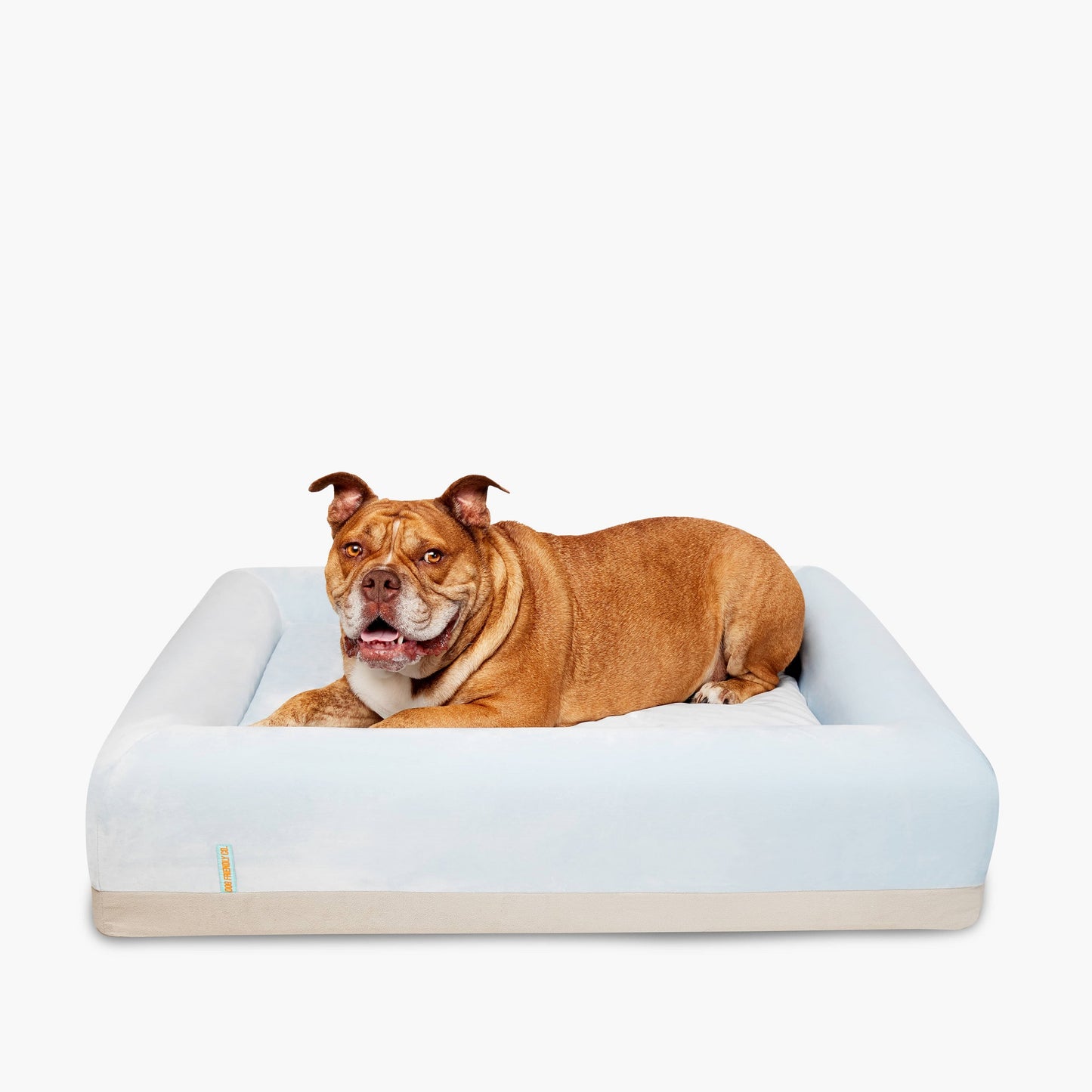 Orthopedic Memory Foam Dog Bed - Sky Blue (Small)