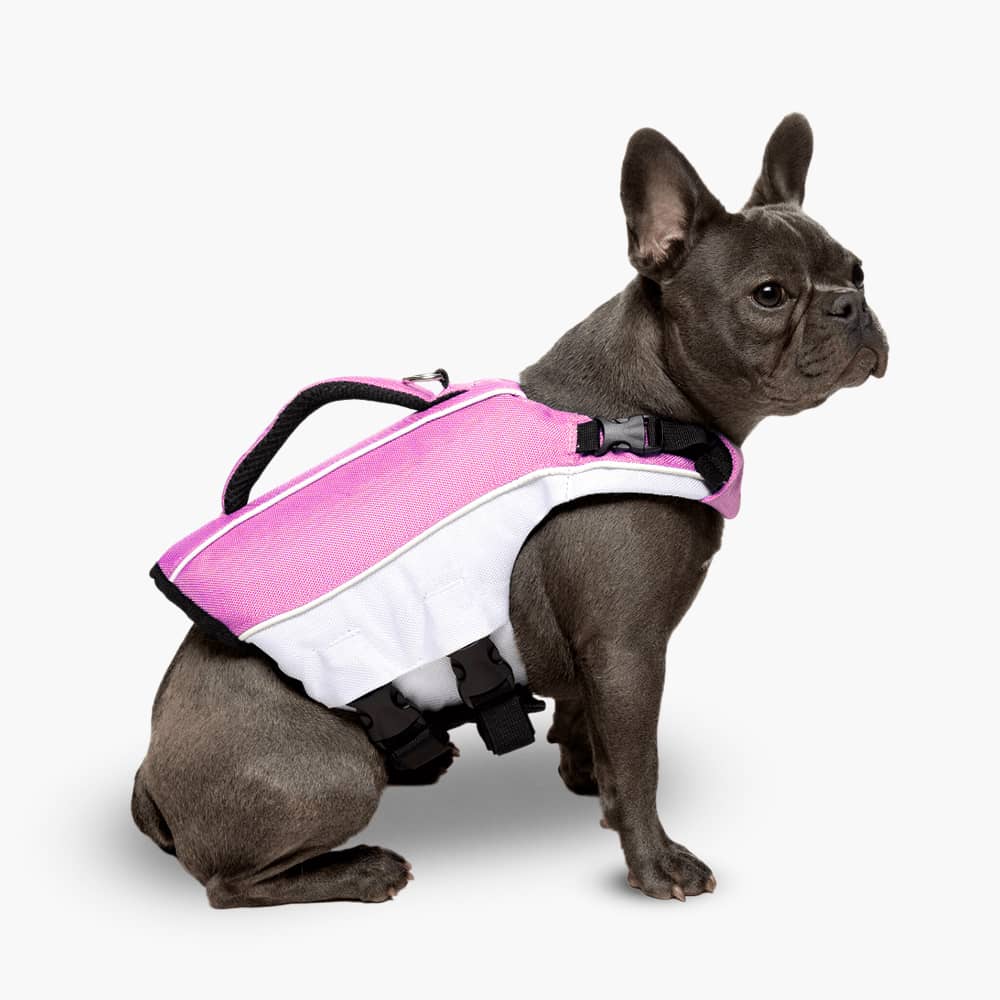 Dog Life Jacket