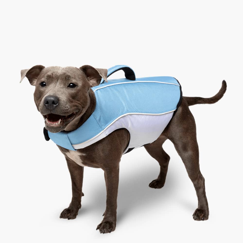 Dog Life Jacket